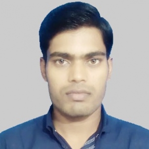 Ranjit Kumar-Freelancer in Rosera,India