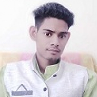 Asif Ansari-Freelancer in ,India