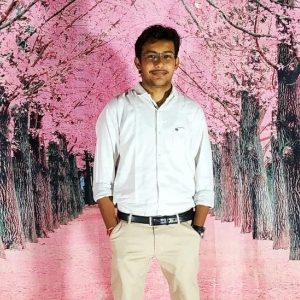 Ashay Shah-Freelancer in ,India