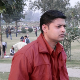 Naveen Gaur-Freelancer in Delhi,India