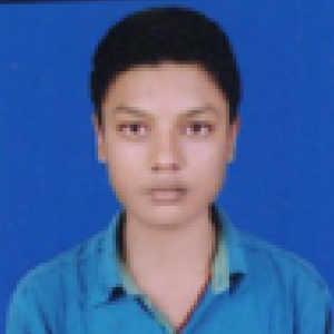Niteesh Kumar-Freelancer in Durgapur,India