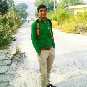 Sunil Sain-Freelancer in Bikaner,India