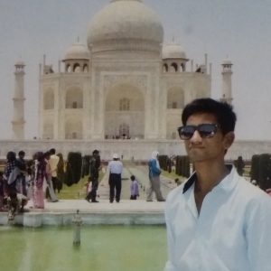 Waquar Ansari-Freelancer in ,India