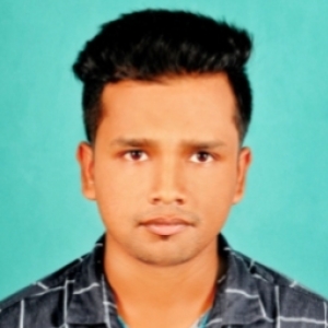 Anup Biswas-Freelancer in ,India