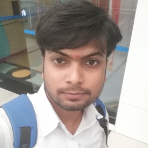 Manish Patel-Freelancer in ,India