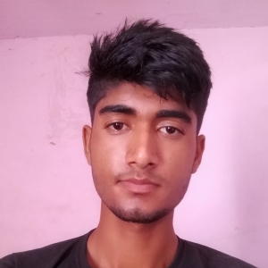 Ajay Meena-Freelancer in Jodhpur,India