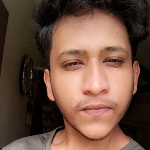 Syed Mohammed Arfat-Freelancer in Chittagong,Bangladesh