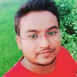Vikas Chauhan-Freelancer in Lucknow,India