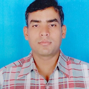 Ashok Kumar Gadri-Freelancer in ,India